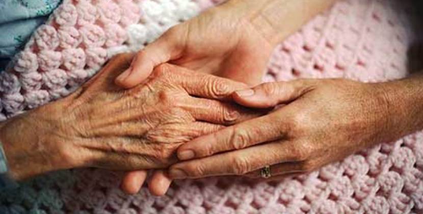 brukaragjoldvaksaumojavnan