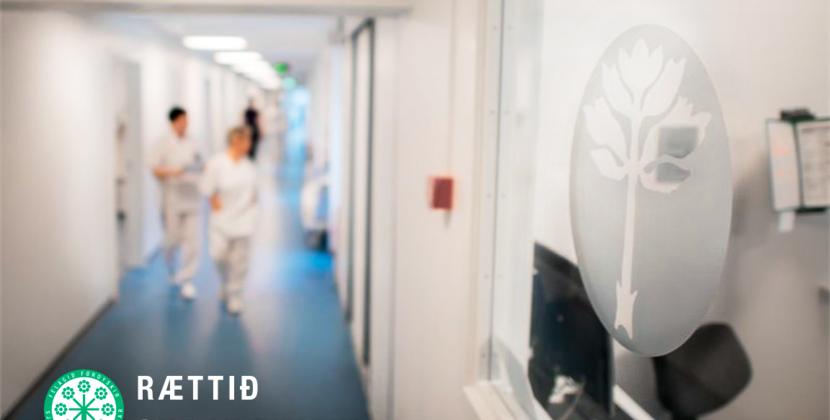 figgjarmalaradidvirdirikki